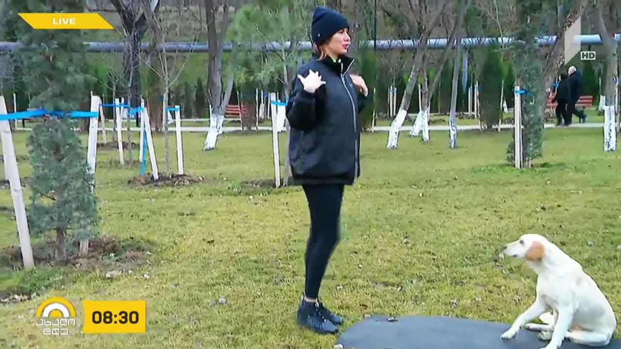 დილის ვარჯიში ქეთი ხატიაშვილთან ერთად