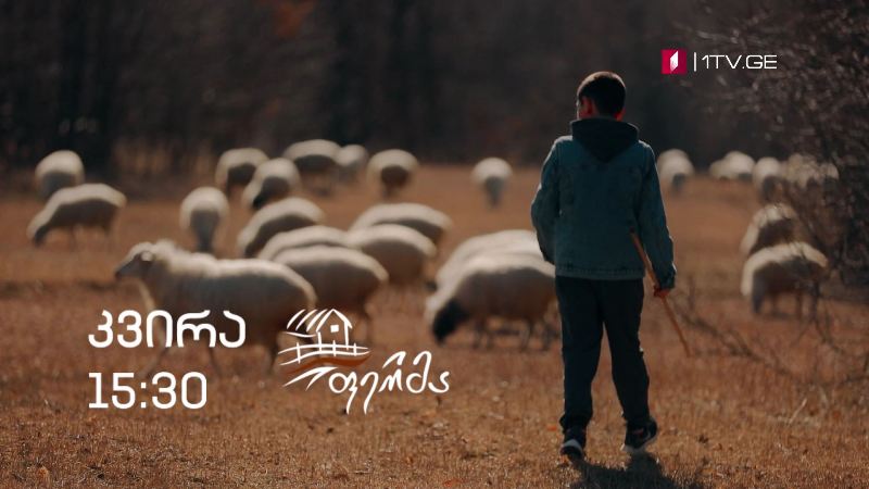 „ფერმა“ – 14 თებერვალს, 15:30
