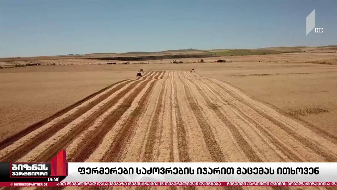 ფერმერები სასოფლო-სამეურნეო დანიშნულების მიწებზე იჯარით სარგებლობის უფლებას ითხოვენ