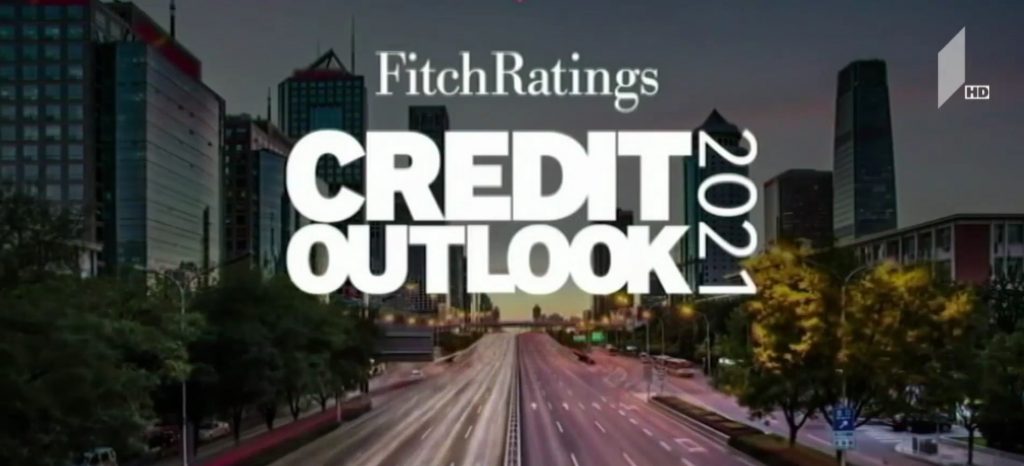 სარეიტინგო კომპანია Fitch-ის კვლევა