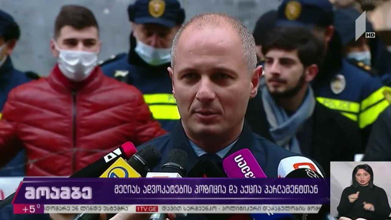 ნიკა მელიას ადვოკატების პოზიცია და აქცია პარლამენტთან