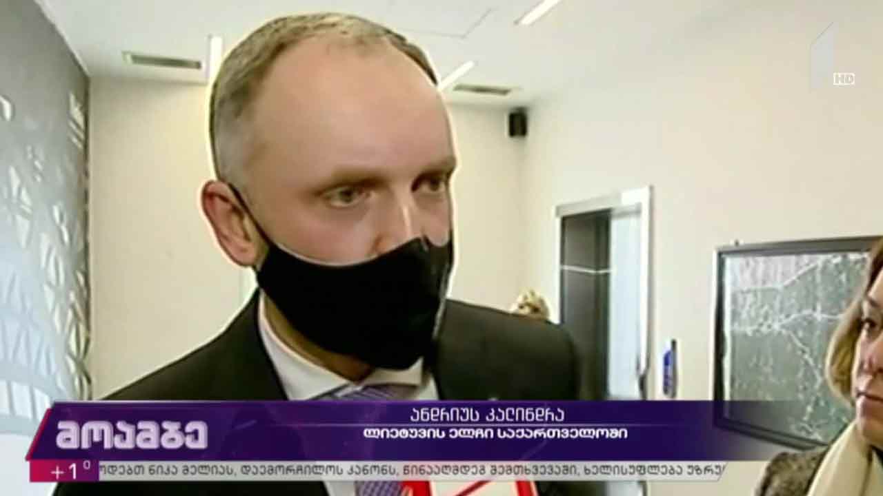 ლიეტუვას ელჩთან შეხვედრა
