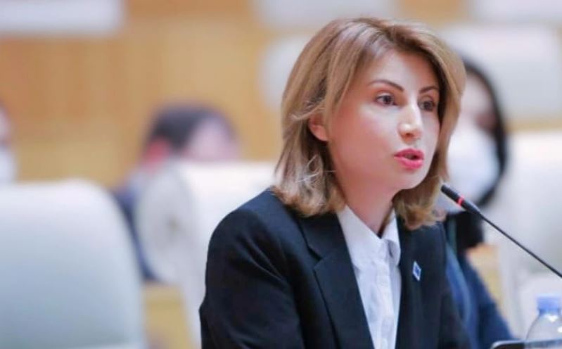 Իրակլի Ղարիբաշվիլին Եվրաատլանտյան ինտեգրման ճանապարհին մեծ ուժ է. թամար Տալիաշվիլի