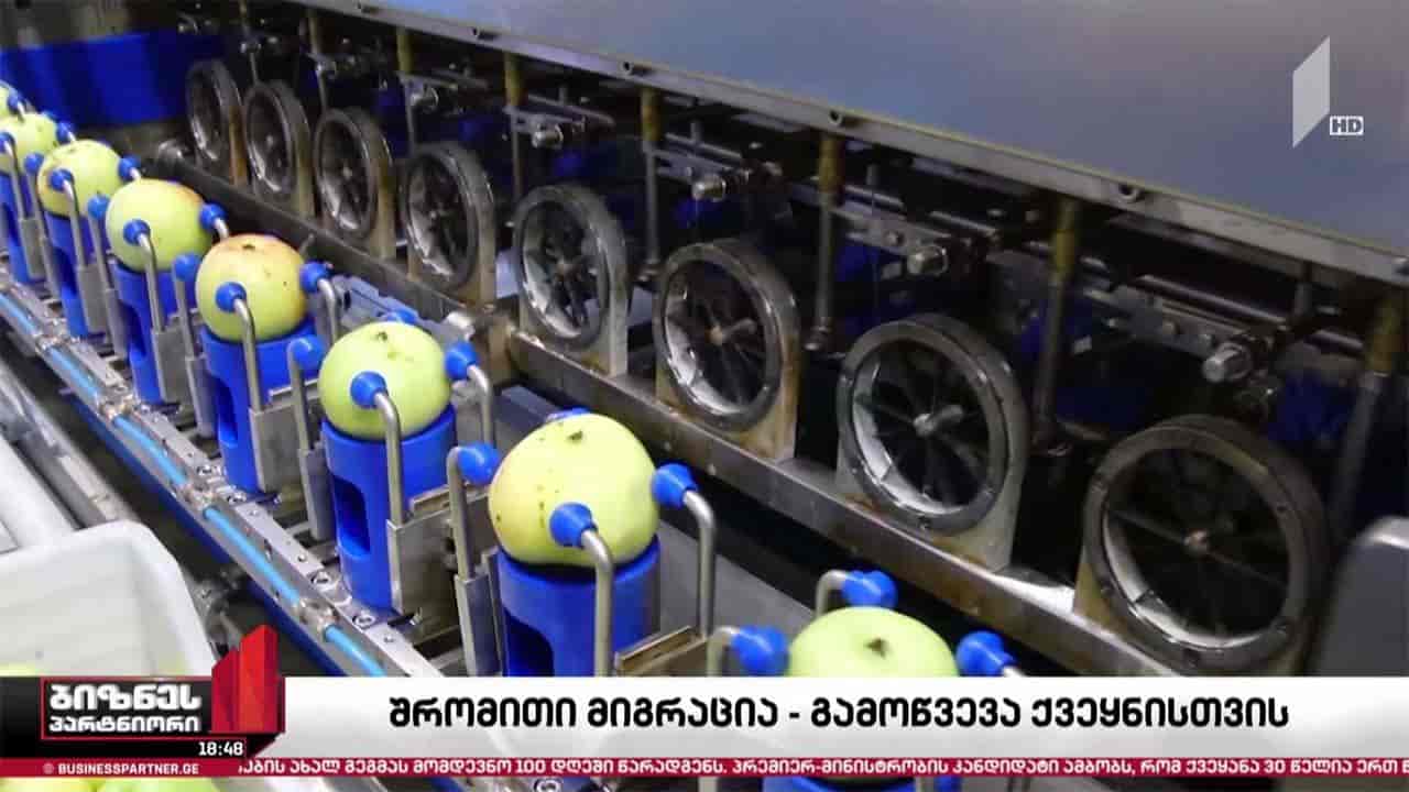 ლეგალური შრომითი მიგრაცია - ახალი გამოწვევა ქვეყნისთვის