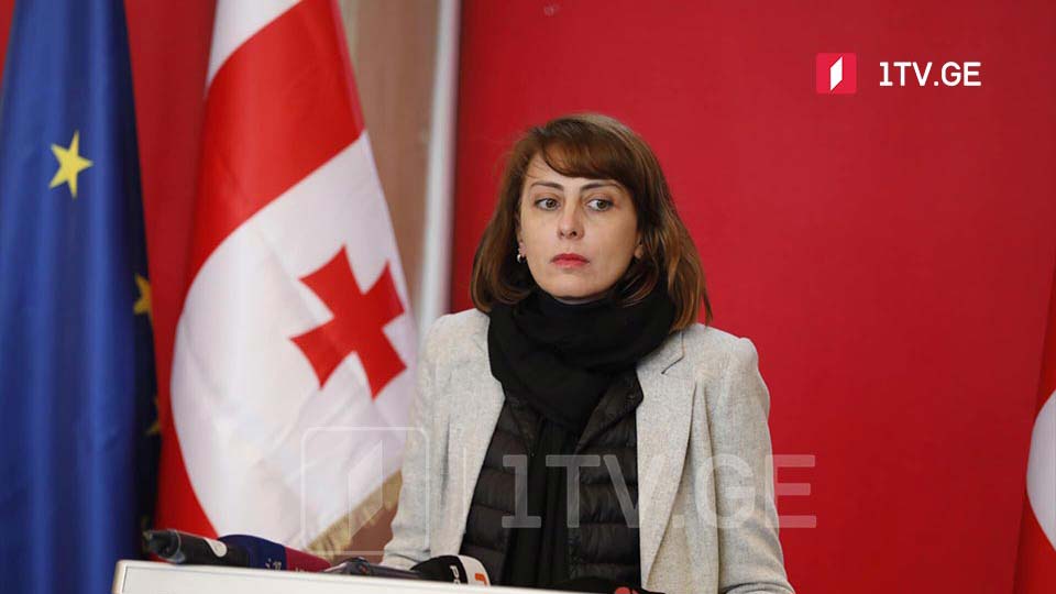 ოპოზიციის სამოქმედო სტრატეგია