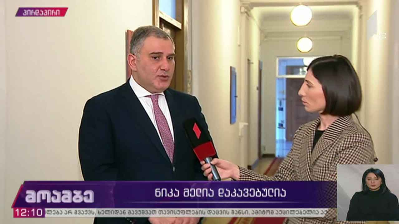 ნიკა მელიას დაკავება - განცხადებები პარლამენტში