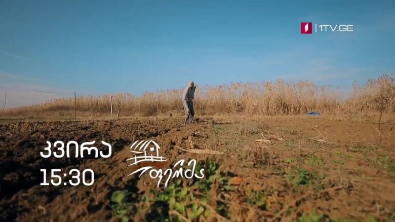 „ფერმა“ – 28 თებერვალი, 15:30