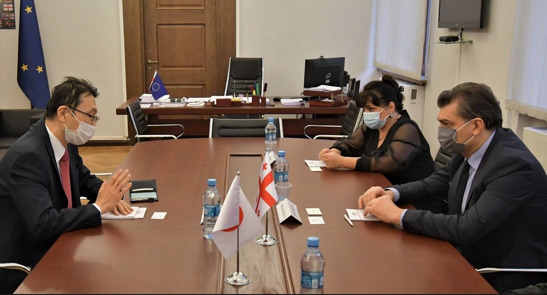 მიხეილ ყაველაშვილი იაპონიის საგანგებო და სრულუფლებიან ელჩს შეხვდა