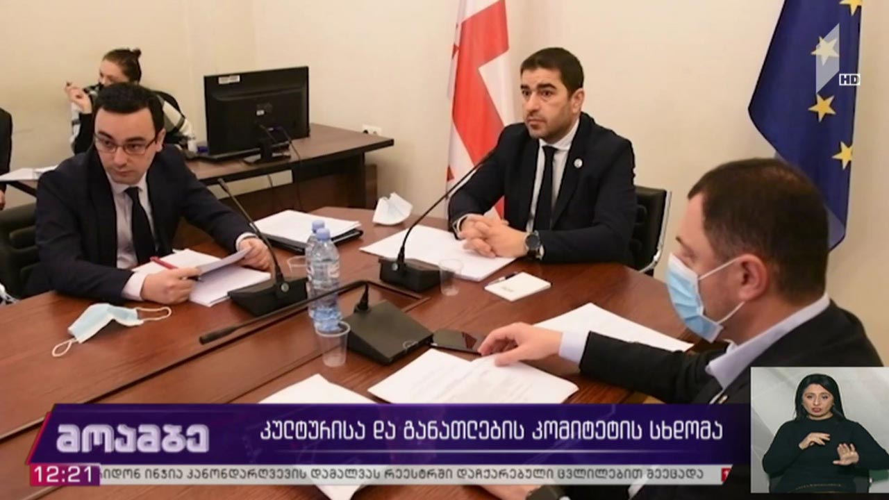 კულტურისა და განათლების კომიტეტის სხდომა