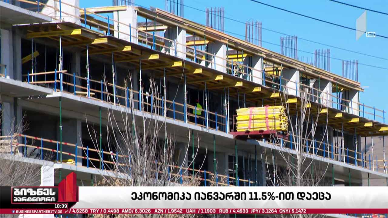 იანვარში საქართველოს ეკონომიკა 11.5%-ით შემცირდა