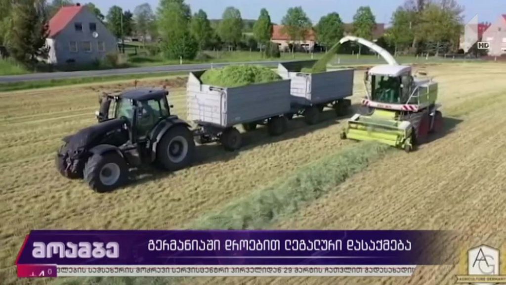 გერმანიაში დროებით ლეგალური დასაქმება