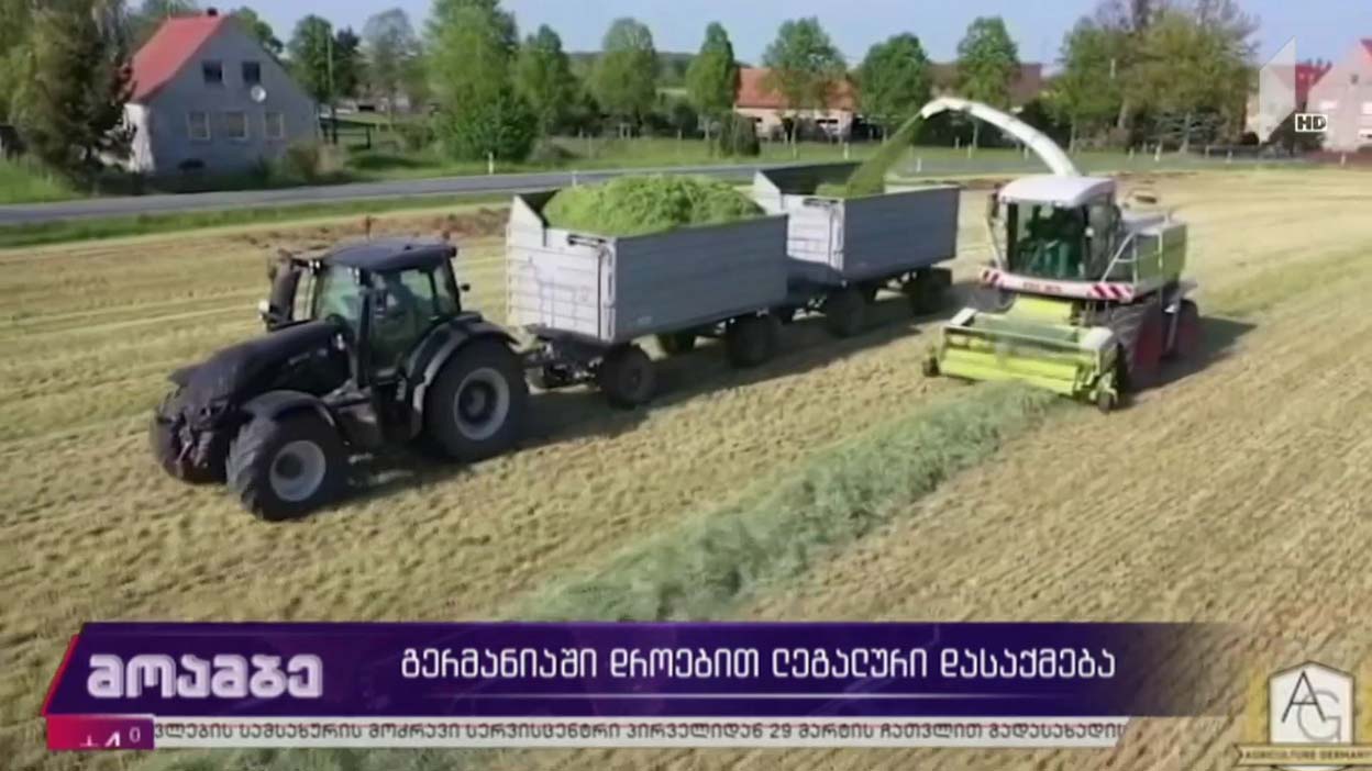 გერმანიაში დროებით ლეგალური დასაქმება