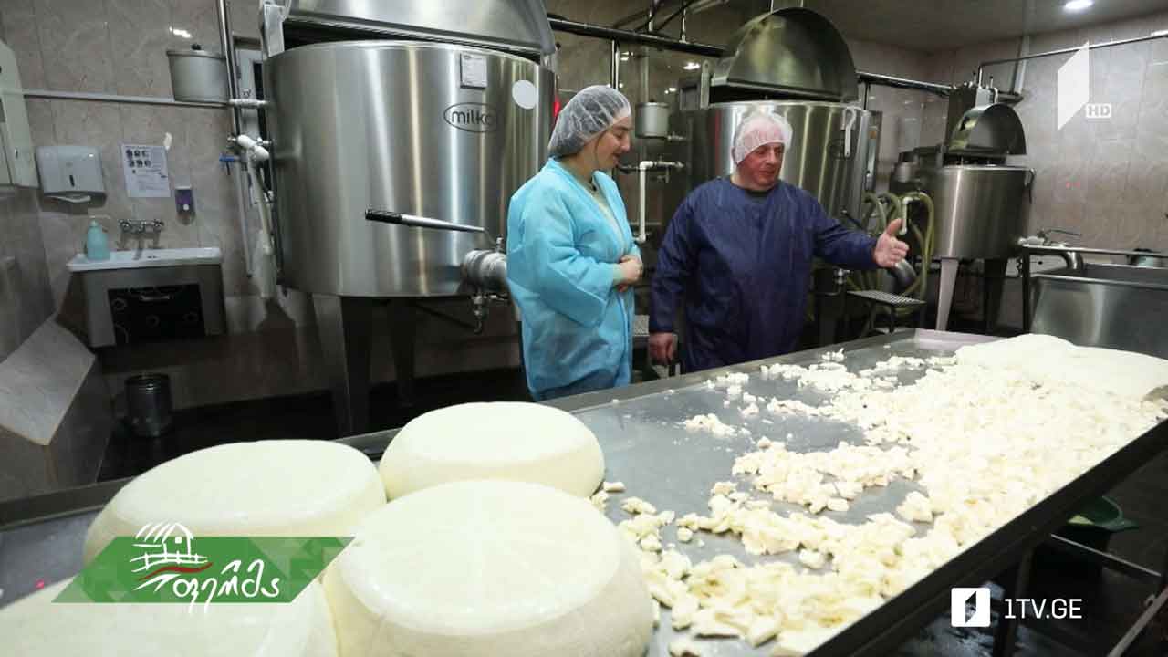 თანამედროვე ტექნოლოგიით აღჭურვილი რძის საწარმო ბოლნისში