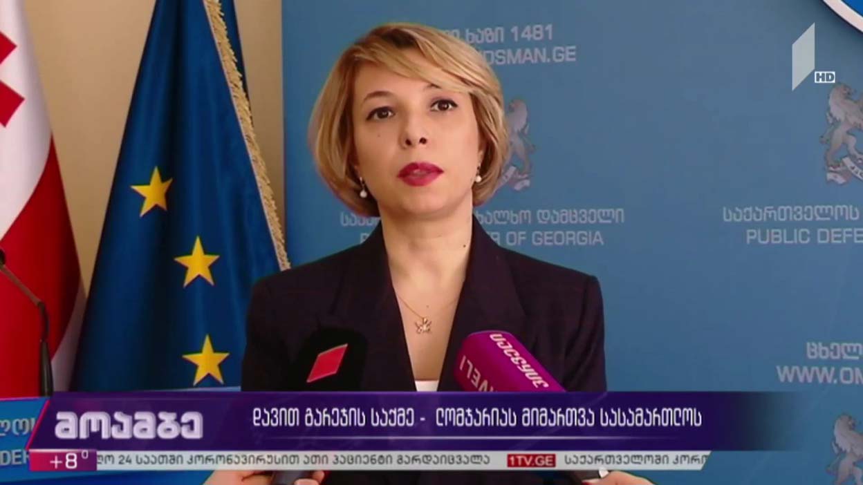 დავით გარეჯის საქმე - ნინო ლომჯარიას მიმართვა სასამართლოს