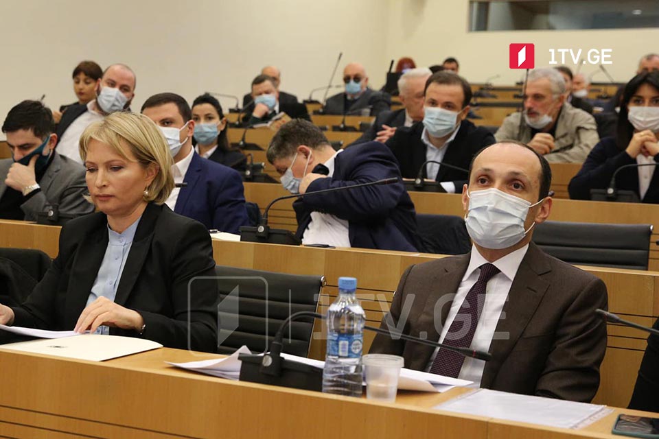 მინისტრები გაერთიანებული კომიტეტების სხდომაზე
