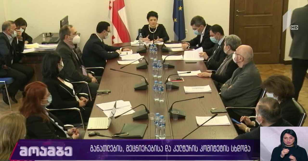 განათლების, მეცნიერებისა და კულტურის კომიტეტის სხდომა