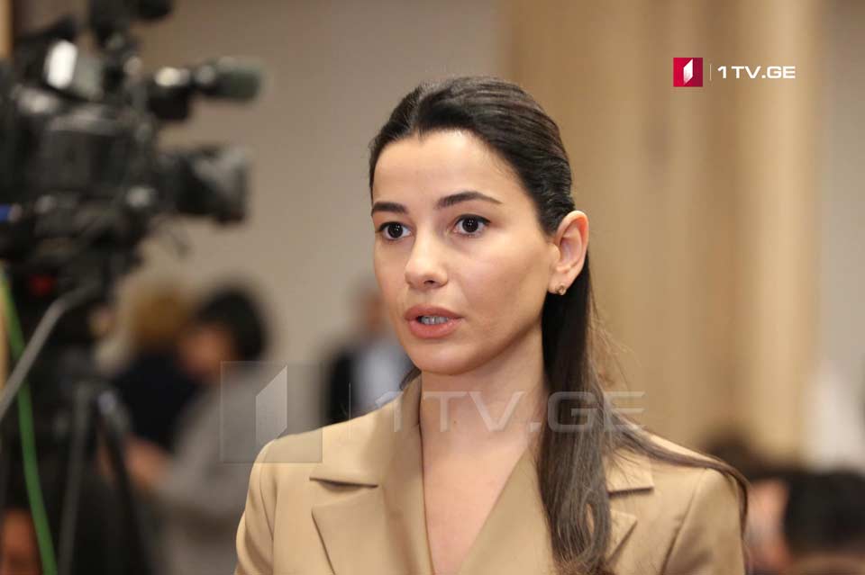 Զբոսաշրջության արդյունաբերության մարտահրավերների կապակցությամբ կատարվելու է լուրջ հետազոտություն, որից հետո կմշակվի օրինագիծ. Մարյամ Քվրիվիշվիլի