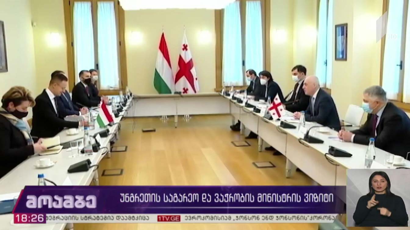 უნგრეთის საგარეო საქმეთა და ვაჭრობის მინისტრის ვიზიტი 