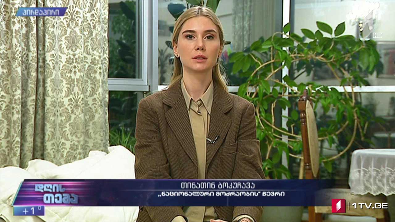 პოლიტიკური დიალოგი ევროკავშირის მედიაციით „დღის თემის“ შეკითხვებს თინა ბოკუჩავამ უპასუხა