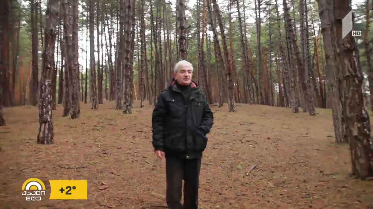 კაცი, რომელმაც სურამს, წაღვერს, ბორჯომსა და ბაკურიანს ტყის მასივები დაუტოვა