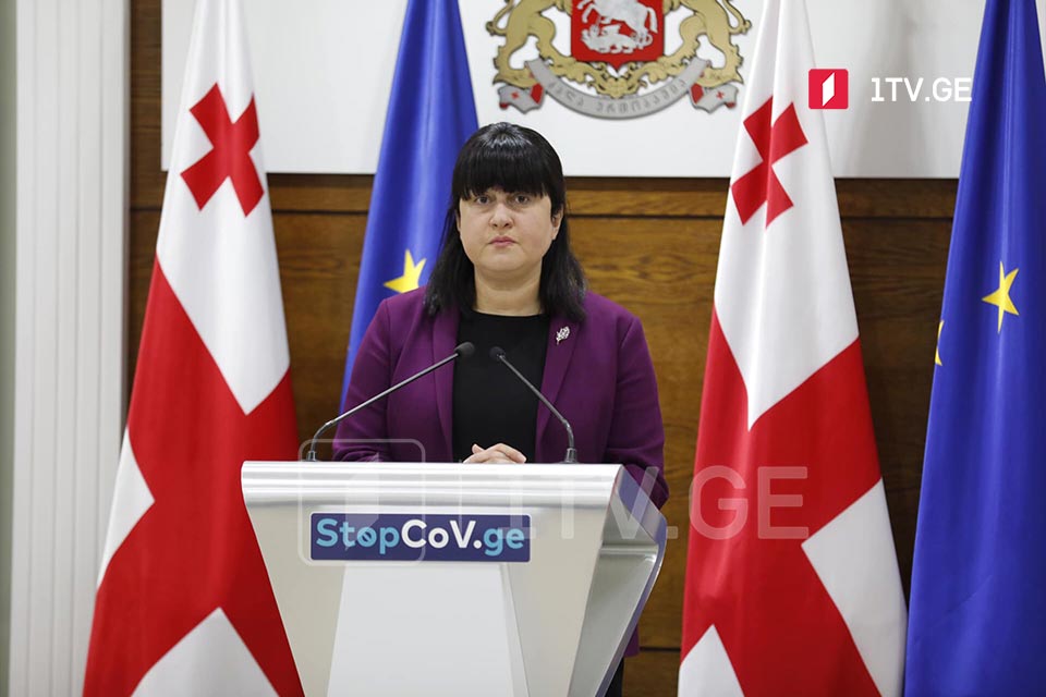 თამარ გაბუნიას და ამირან გამყრელიძის ბრიფინგი #LIVE