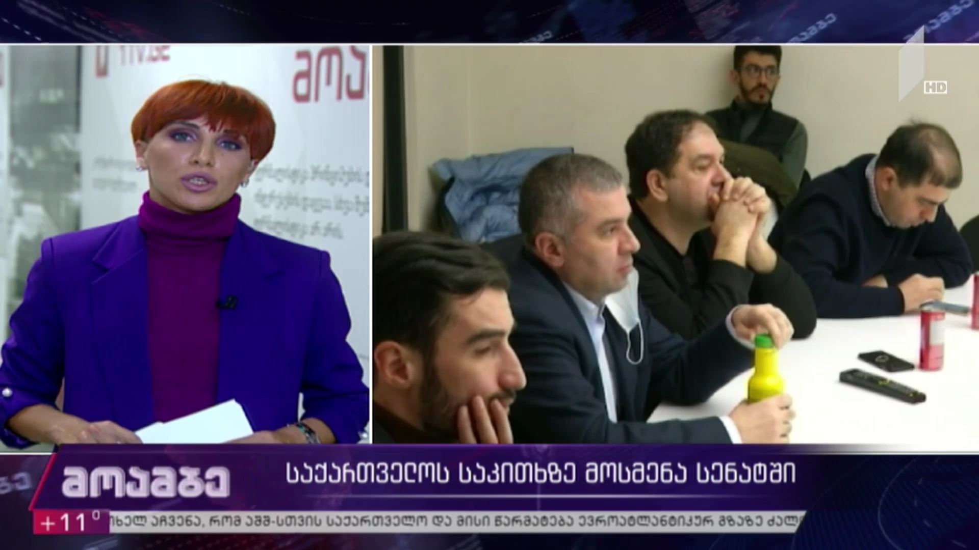საქართველოს საკითხზე მოსმენა სენატში - შეფასებები პოლიტიკურ სპექტრში