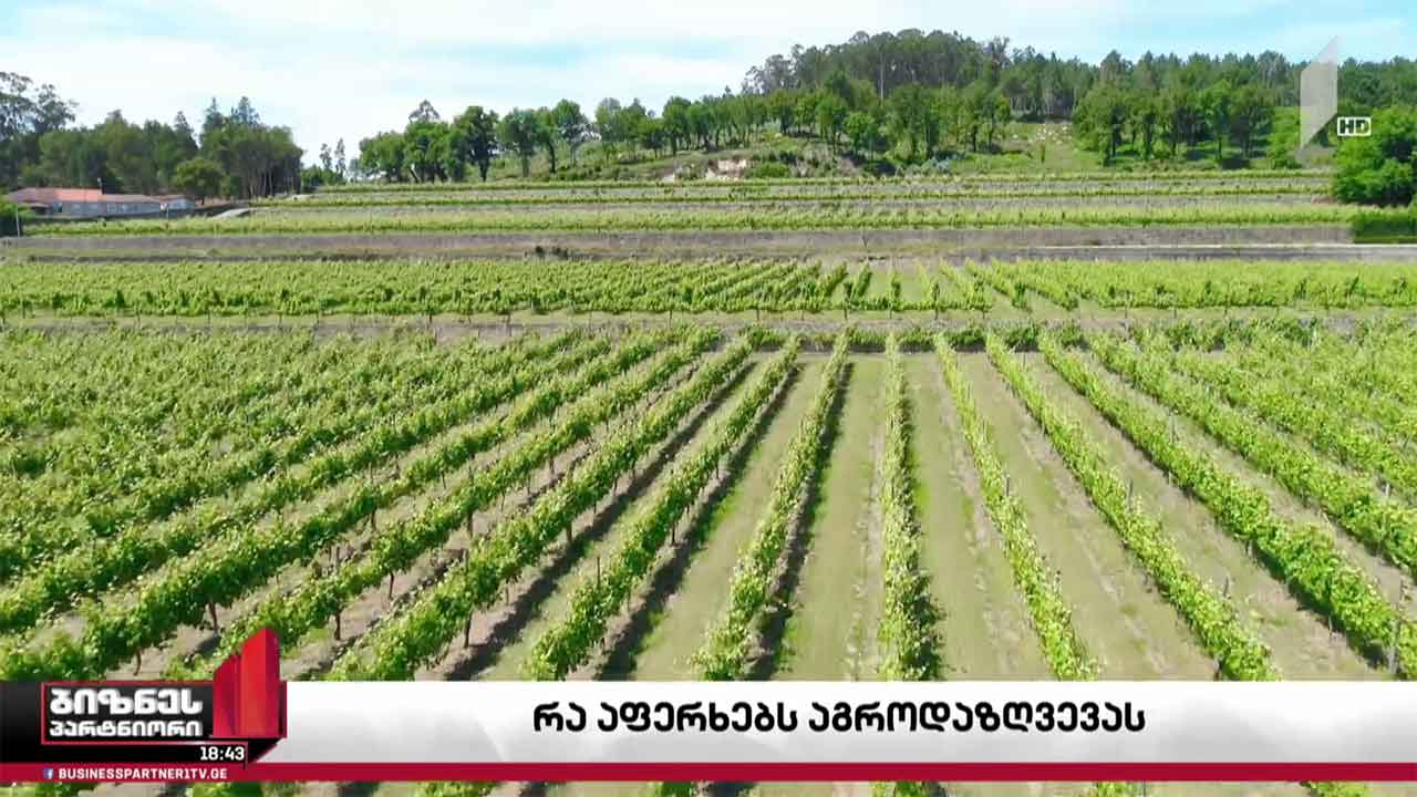 რა აფერხებს აგროდაზღვევის სისტემის განვითარებას?