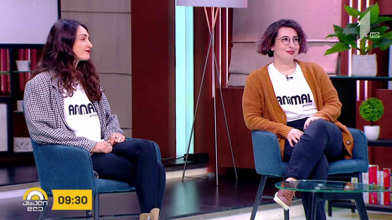 4 აპრილი მიუსაფარ ცხოველთა დაცვის საერთაშორისო დღეა