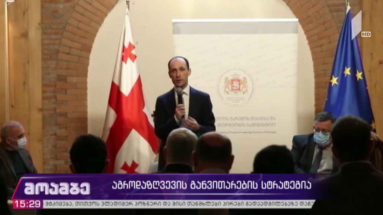 აგროდაზღვევის განვითარების სტრატეგია