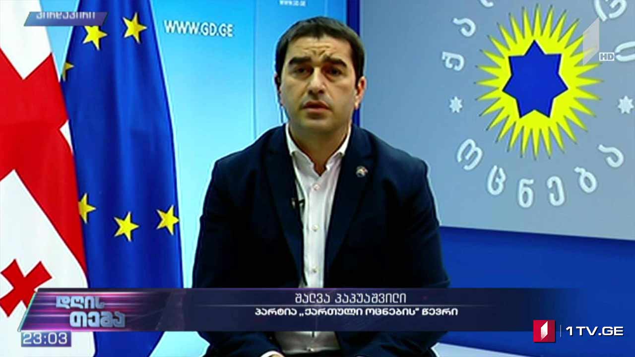 ევროპარლამენტარების გზავნილი და დიალოგის რესურსი - „დღის თემის“ შეკითხვებს შალვა პაპუაშვილმა უპასუხა