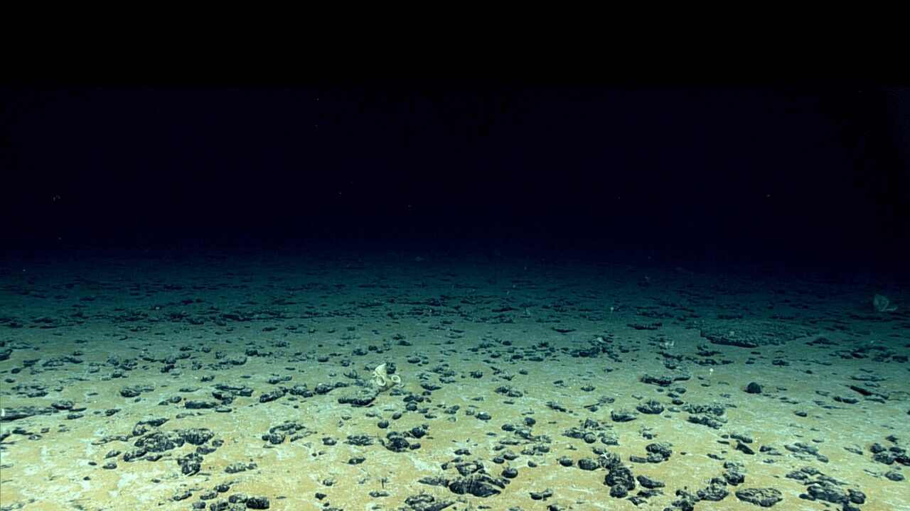 შავი ზღვის ღრმა ნაწილებში ბოლო გამყინვარების ხანა ჯერაც არ დასრულებულა — ახალი კვლევა #1tvმეცნიერება