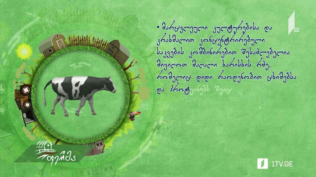 #რჩევები სწორი კვებით რძის ხარისხის გაუმჯობესება