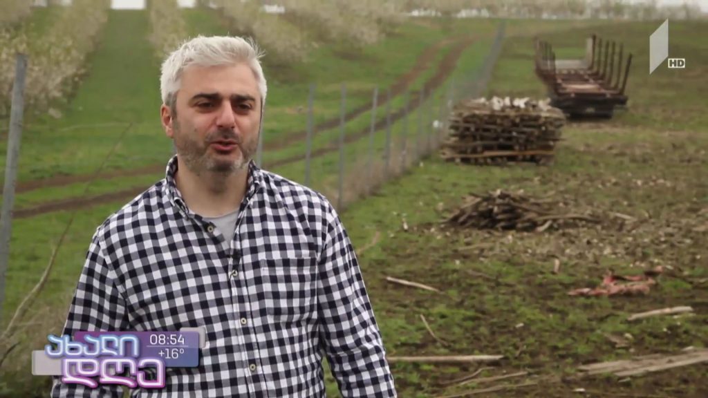 შერმაზანას გასეირნება სიღნაღში