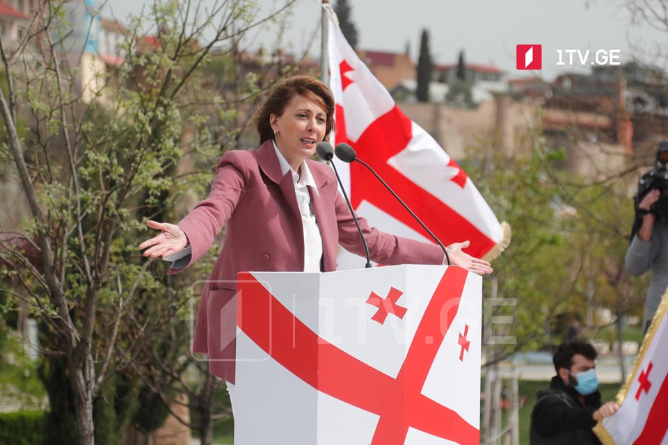 შარლ მიშელის შეთავაზება - ოპოზიციის პოზიცია