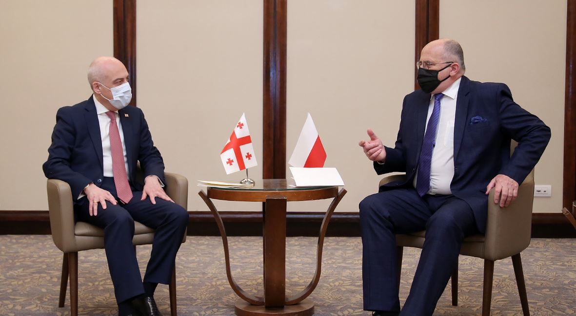 დავით ზალკალიანმა პოლონელ კოლეგასთან რეგიონში არსებული ვითარება და ნატო-ს მომავალი სამიტის საკითხები განიხილა