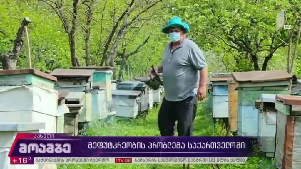 მეფუტკრეობის პრობლემა საქართველოში
