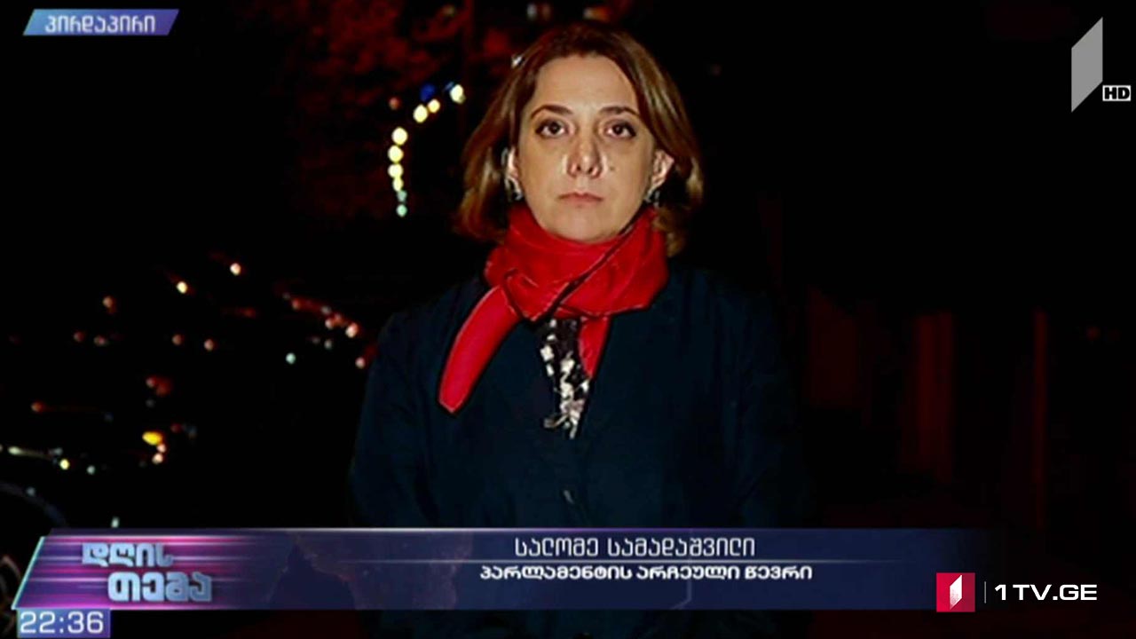 უთანხმოება პოლიტიკური შეთანხმების გარშემო - „დღის თემის“ შეკითხვებს სალომე სამადაშვილმა უპასუხა