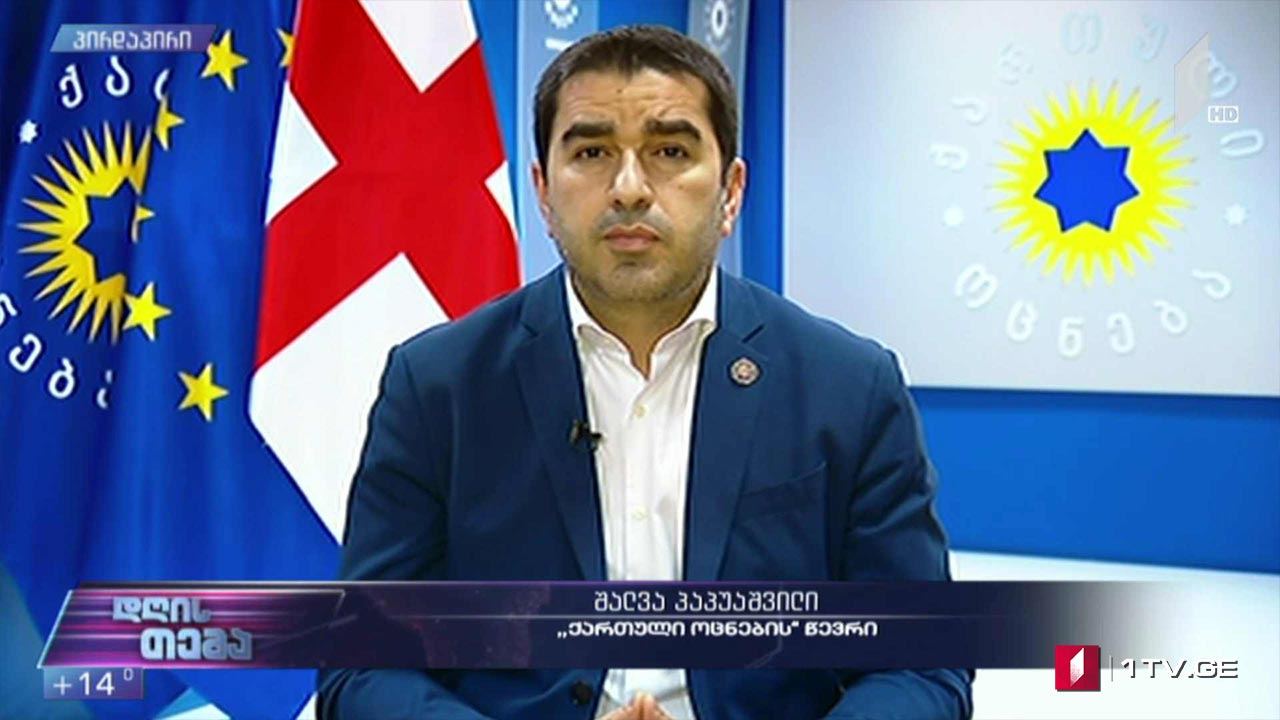 უთანხმოება პოლიტიკური შეთანხმების გარშემო - „დღის თემის“ შეკითხვებს შალვა პაპუაშვილმა უპასუხა
