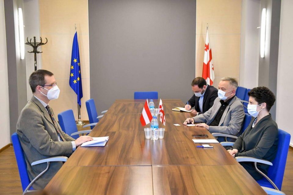 თეა წულუკიანმა ავსტრიის ელჩთან სამომავლო თანამშრომლობის გაფართოების შესაძლებლობები განიხილა