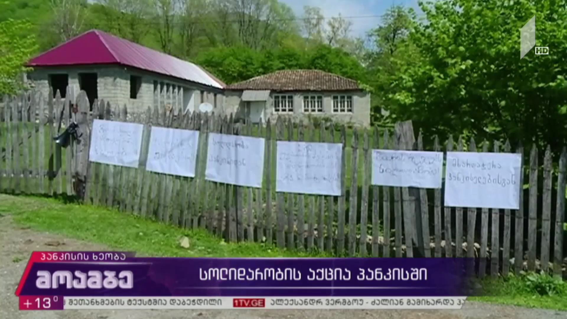სოლიდარობის აქცია პანკისში