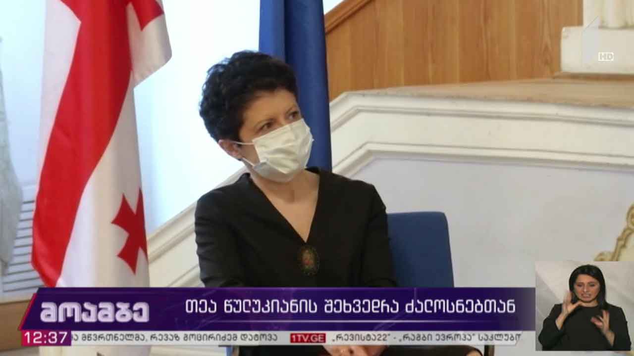 თეა წულუკიანის შეხვედრა ძალოსნებთან