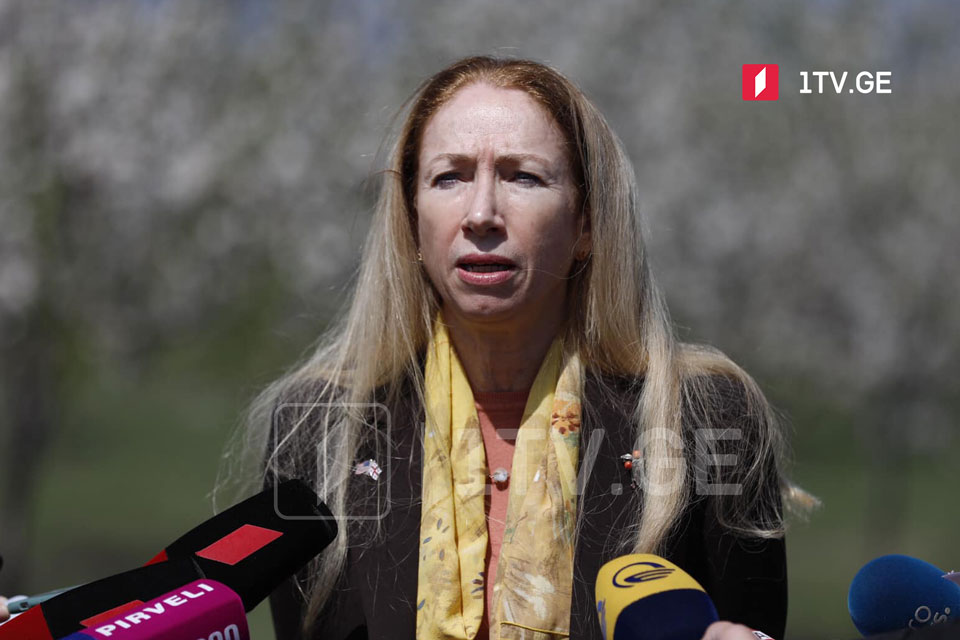 US Ambassador:  It is important for Mr Melia to be in parliament participating in democratic process