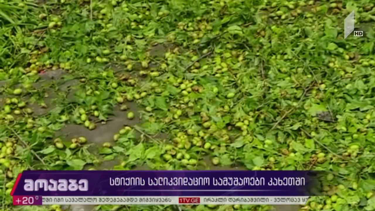 სტიქიის სალიკვიდაციო სამუშაოები ლაგოდეხში