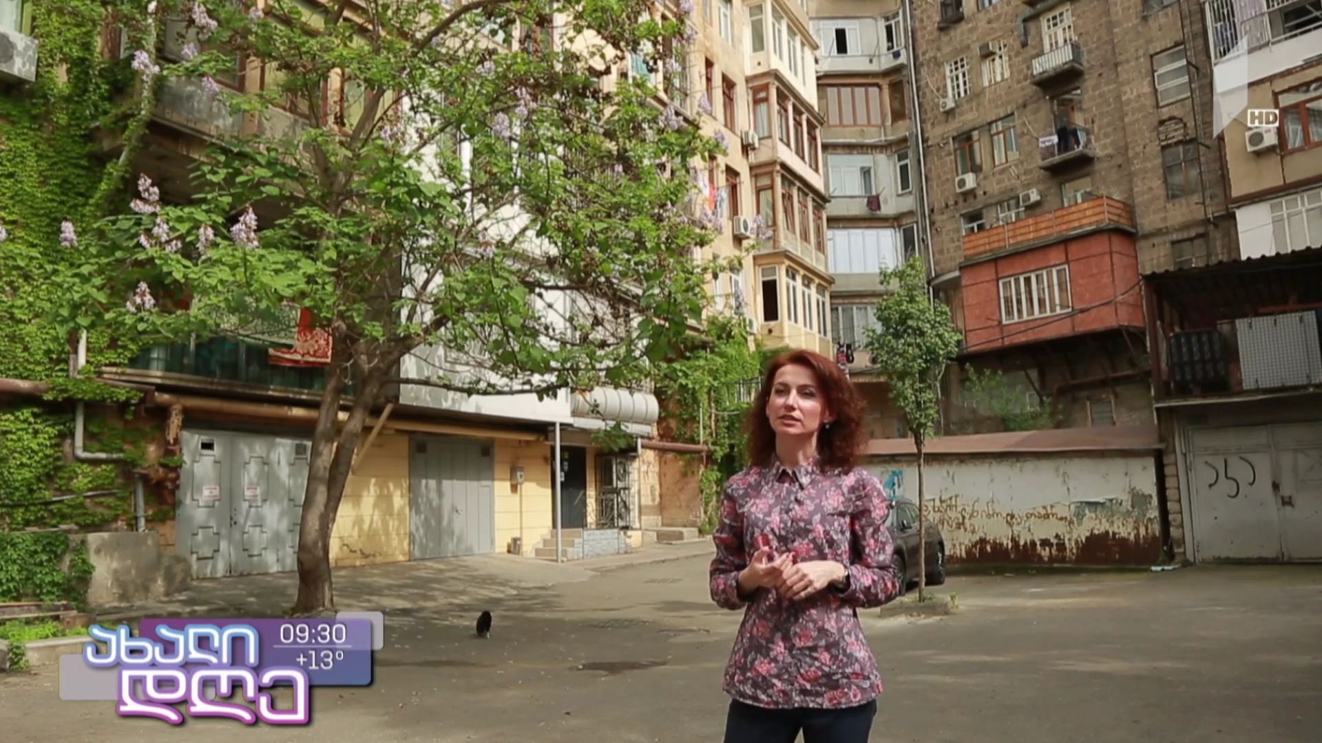 რუბრიკა #სტოპკადრი - მოგზაურობა  თბილისის კინემატოგრაფიულ ადგილებში