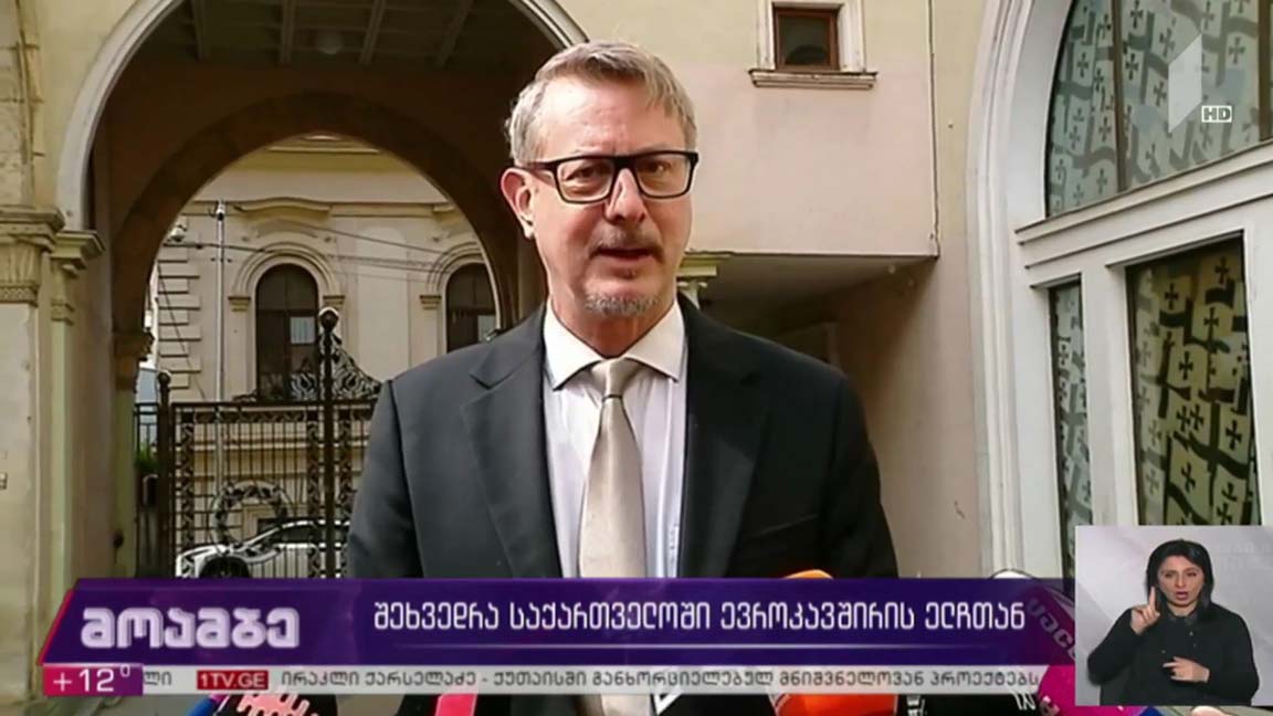 შეხვედრა საქართველოში ევროკავშირის ელჩთან