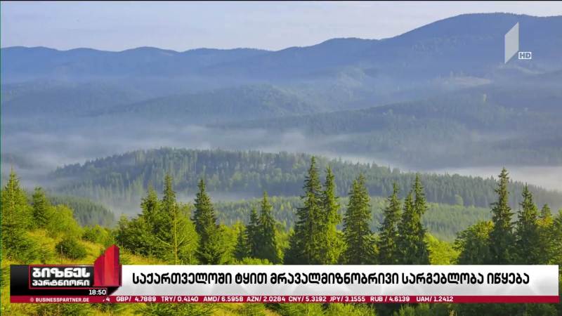საქართველოში ტყით მრავალმიზნობრივი სარგებლობა იწყება