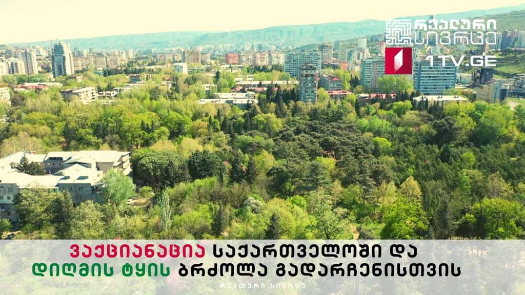 რეალური – ვაქციანაცია საქართველოში | დიღმის ტყის ბრძოლა გადარჩენისთვის #LIVE