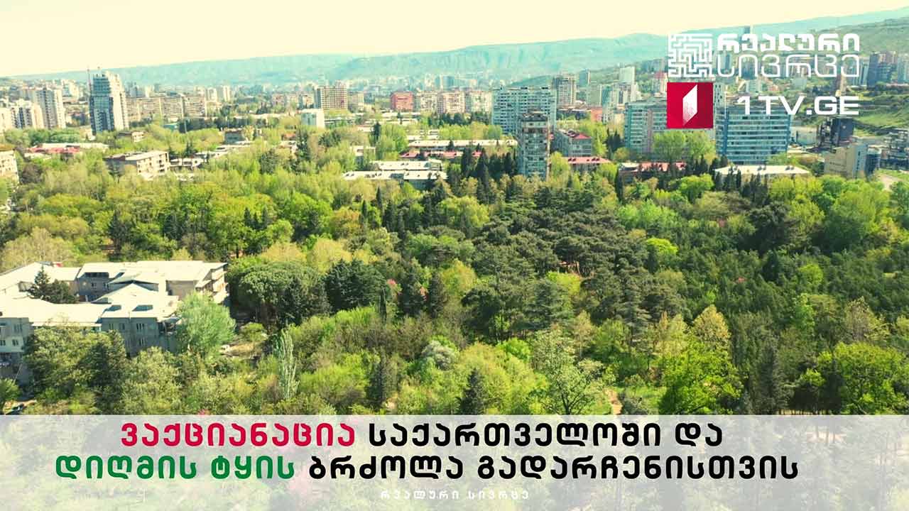 რეალური - ვაქციანაცია საქართველოში | დიღმის ტყის ბრძოლა გადარჩენისთვის #LIVE