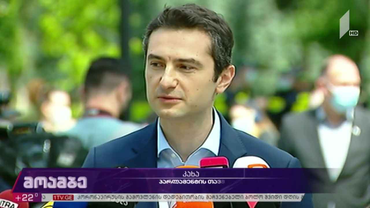 ნიკა მელიას საქმე - შეფასებები