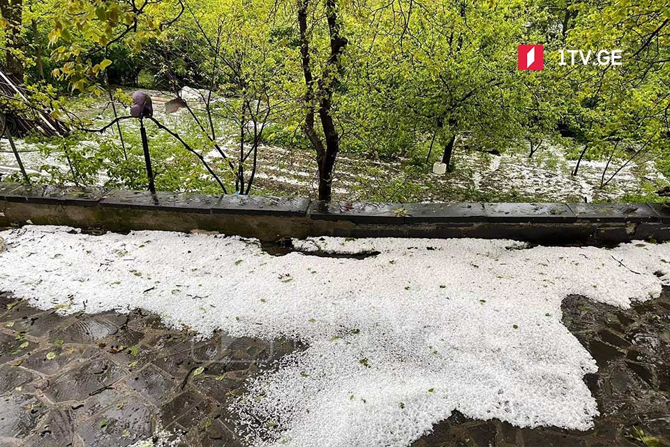 თეთრიწყაროში რამდენიმე სოფელი დაისეტყვა [ვიდეო]